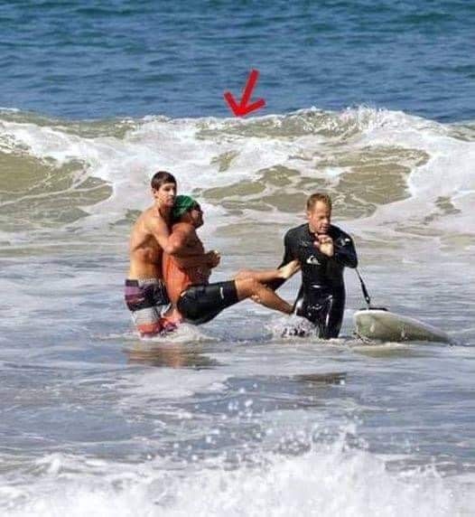 LEGEND LOST Iconic actor has died today after being mauled to death in a shark attack. the video is hard to watch