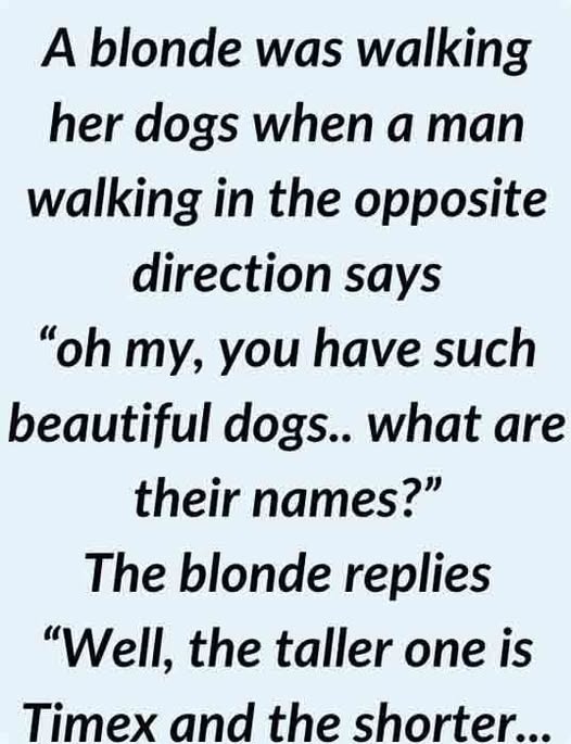 A blonde names her Dogs