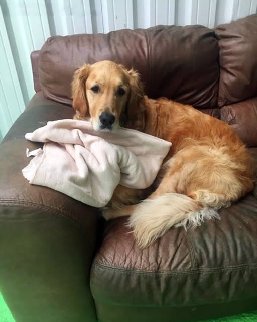 I Bought a $20 Couch at a Garage Sale, and It Changed My Life in a Day