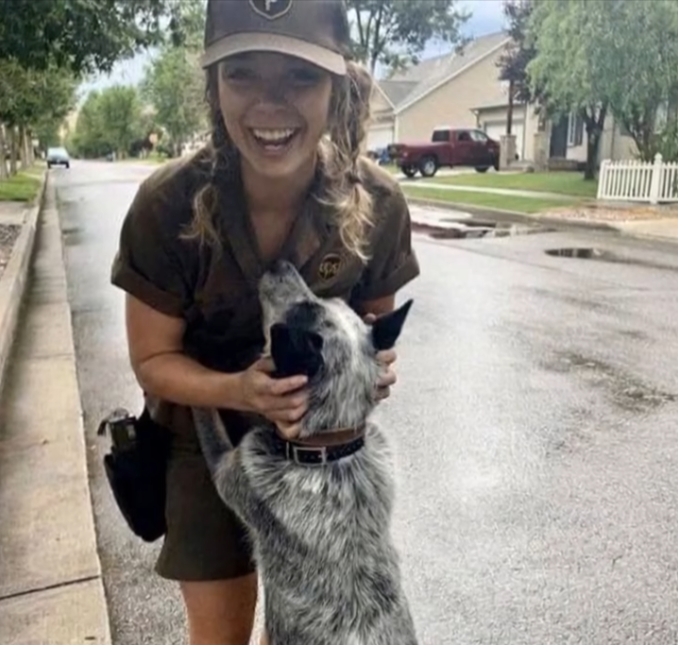 The Dog Who Led Me Back to Love and Memory