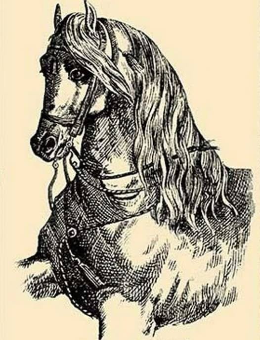 Besides the horse, there is a man in the picture. Only not everyone will see him