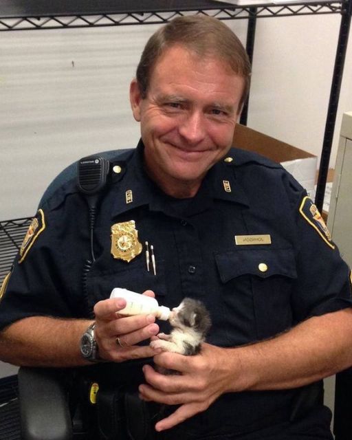 A Police Officer Found a Tiny Kitten, but When He Checked the Security Footage, His Smile Faded
