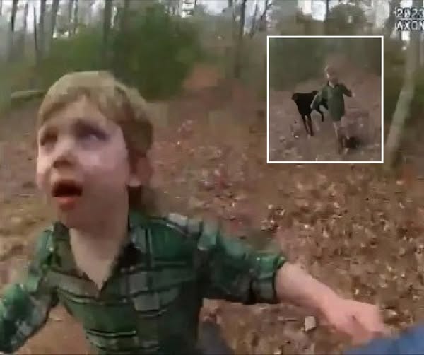Missing Boy Emerges From Woods, State Troopers Stunned When They See What Animals By His Side