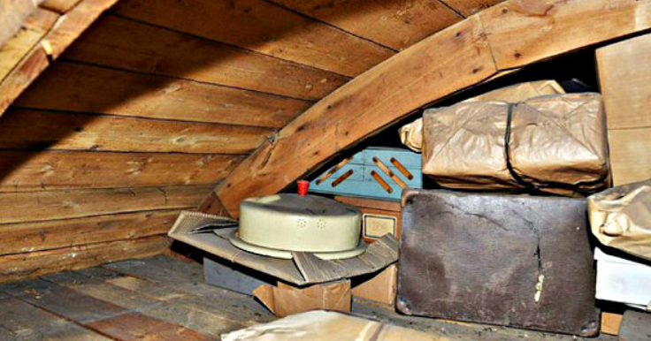 Man Discovers Shocking Secret Hidden Inside Attic Nest