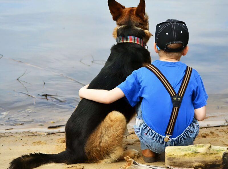 Before the surgery, the boy hugged his dog, but suddenly the dog jumped off the bed and lunged at one of the doctors: everyone was horrified when they realized the reason for the dog’s strange behavior